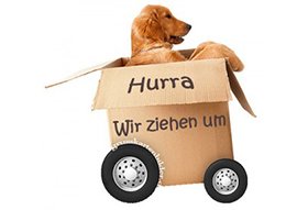 Unsere Expertentipps - Umzugsunternehmen Wien